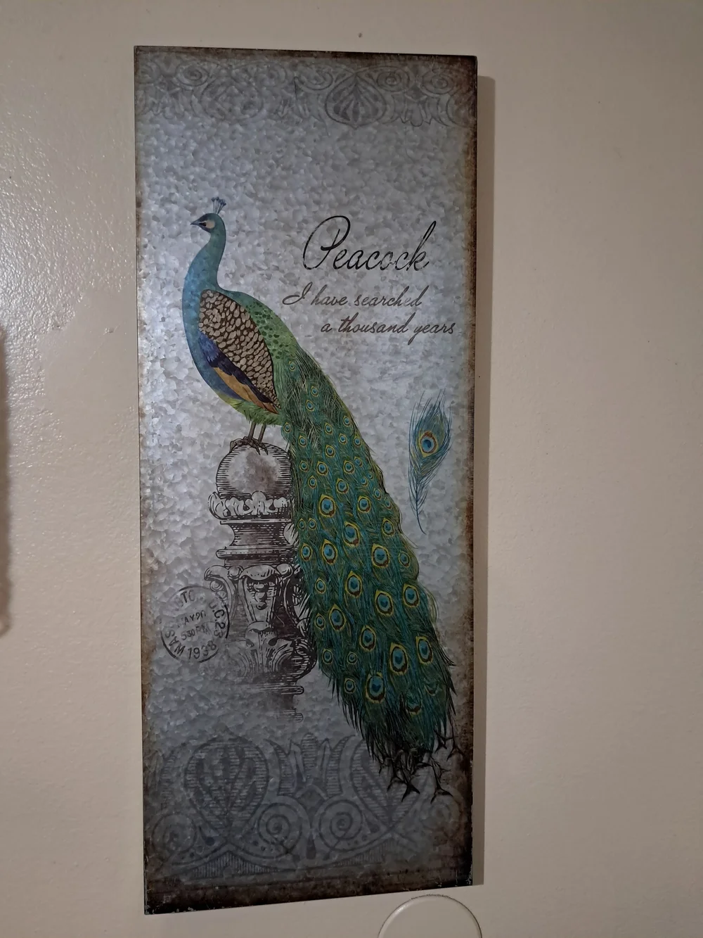 Peacock Wall Art Print in Green and Blue